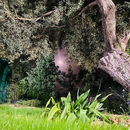 White And Camping Drymades 아파트 *