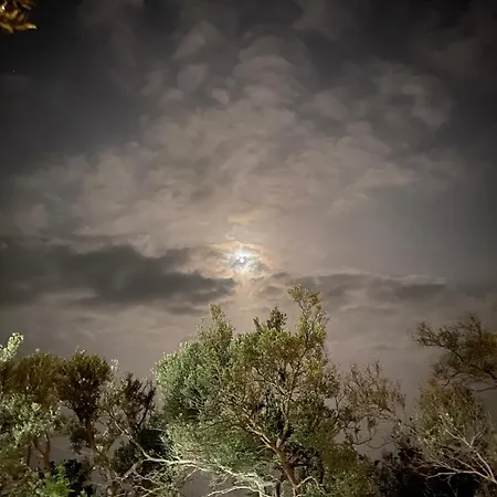 White And Camping Drymades דרמי