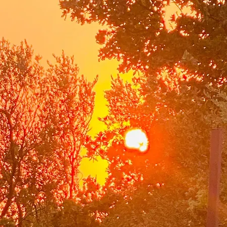 White And Camping Drymades Dhërmi