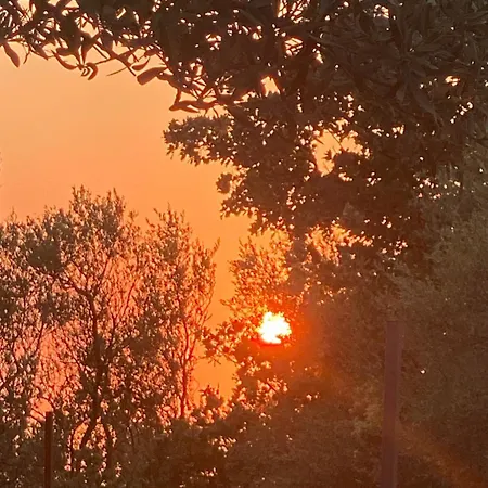 White And Camping Drymades דירה