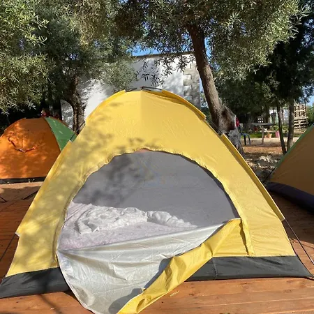 White And Camping Drymades *