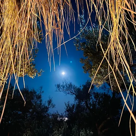 White And Camping Drymades * דרמי