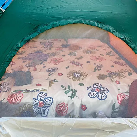 White And Camping Drymades *