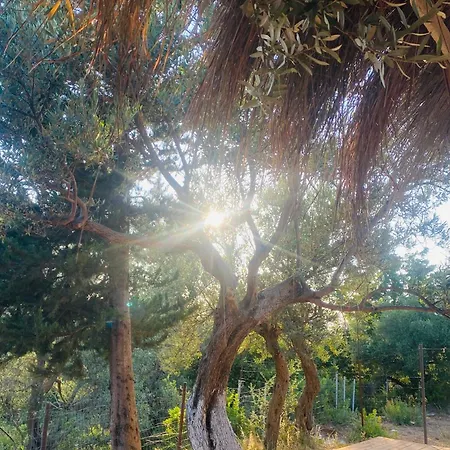 아파트 White And Camping Drymades *