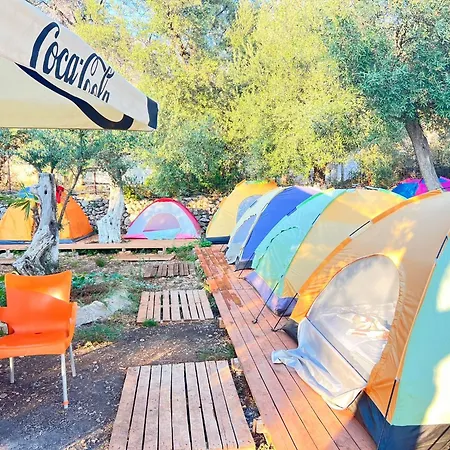 White And Camping Drymades *