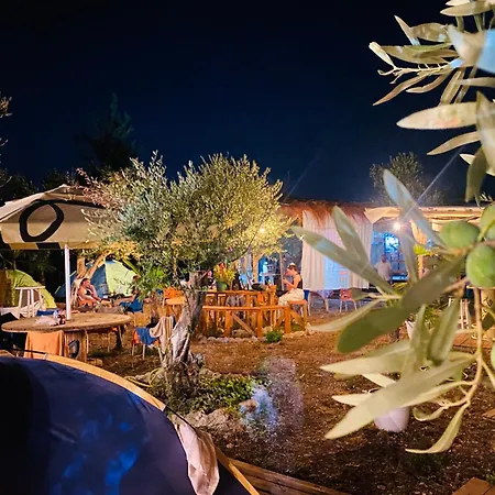 White And Camping Drymades