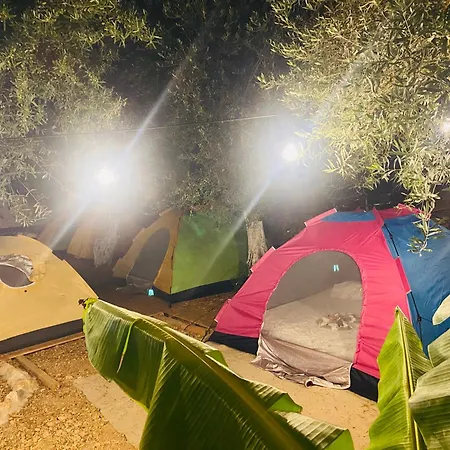 White And Camping Drymades