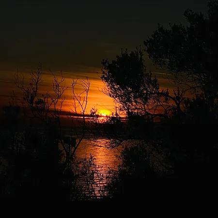 White And Camping Drymades * Dhërmi