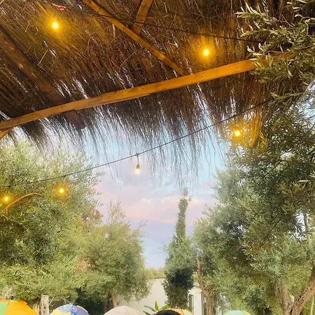 White And Camping Drymades *