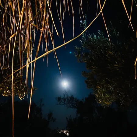 White And Camping Drymades