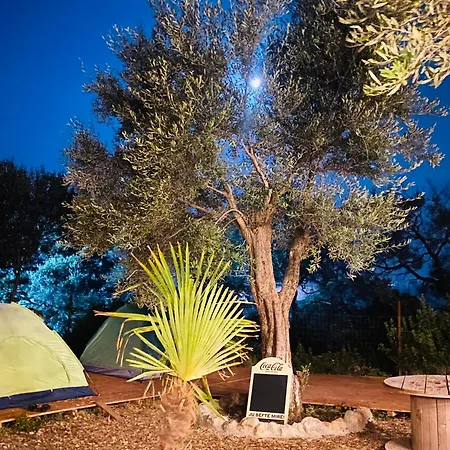 White And Camping Drymades * Dhermi
