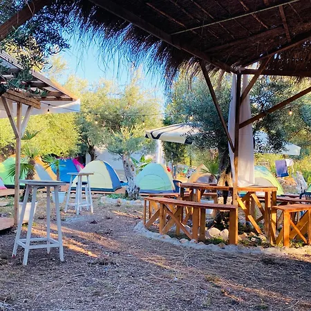 White And Camping Drymades Dhërmi