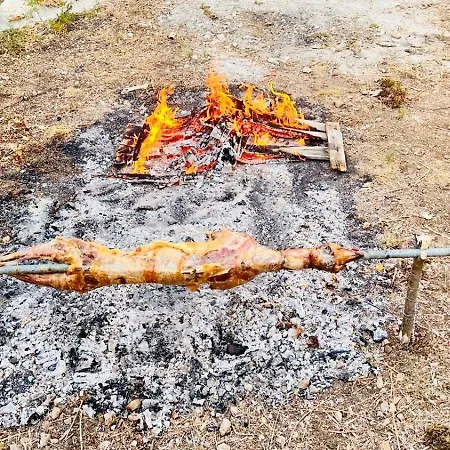 White And Camping Drymades Dhermi