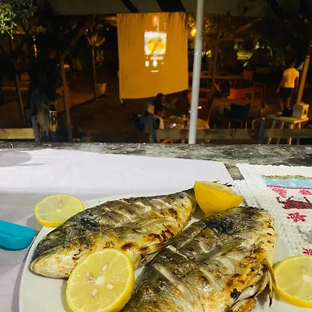 Διαμέρισμα White And Camping Drymades