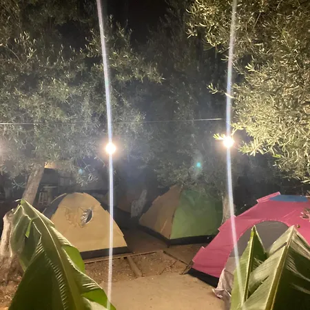 White And Camping Drymades * Dhermi