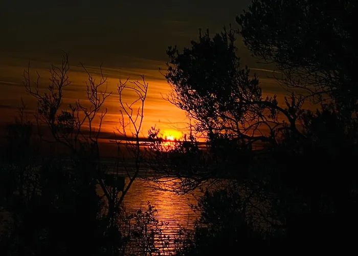 White And Camping Drymades * Dhërmi