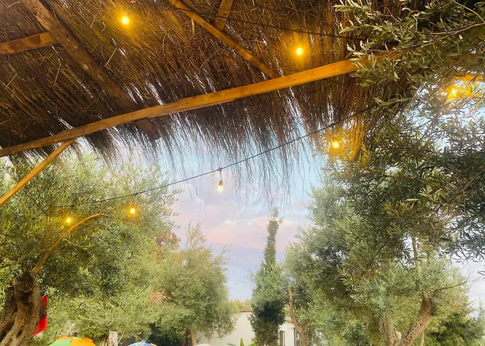 White And Camping Drymades *