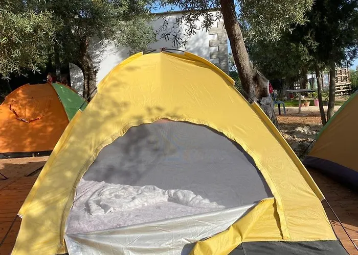 White And Camping Drymades *