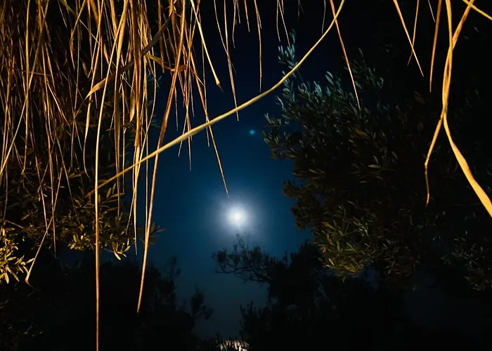 White And Camping Drymades