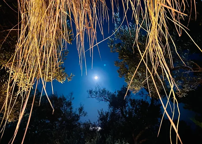 White And Camping Drymades * Dhërmi