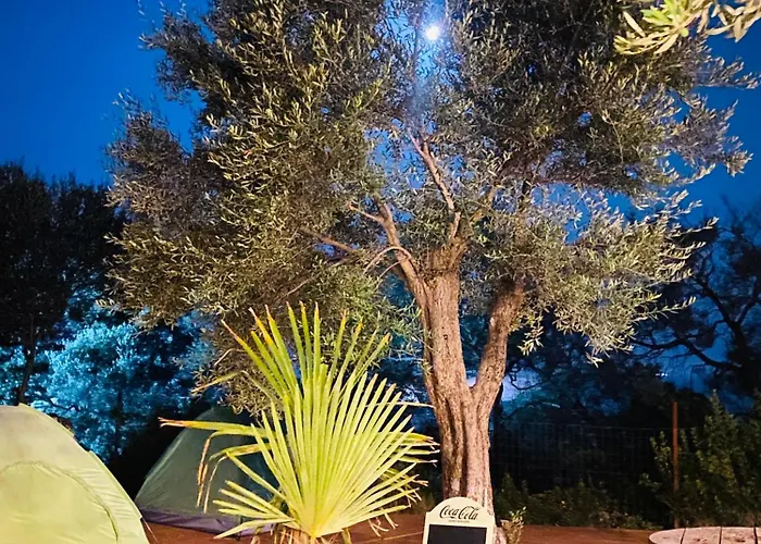 White And Camping Drymades * Dhërmi