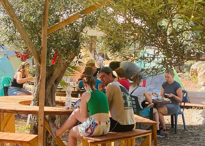 White And Camping Drymades