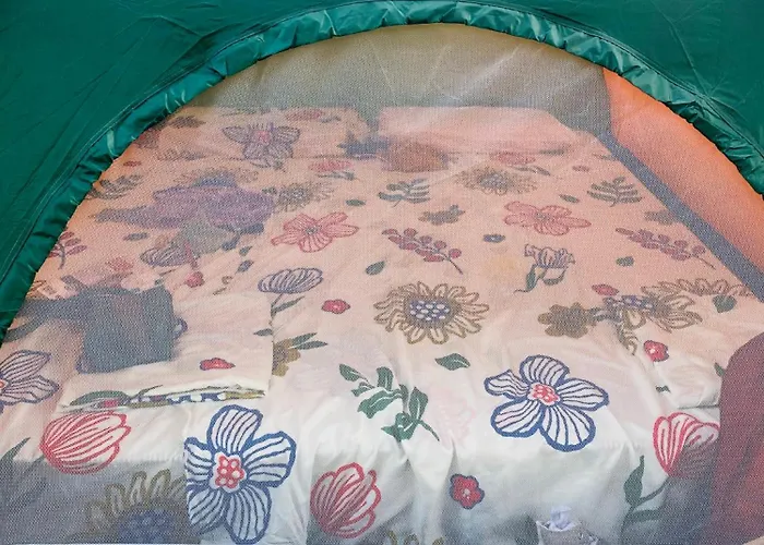 White And Camping Drymades *