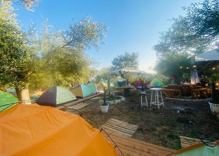 White And Camping Drymades * Dhërmi