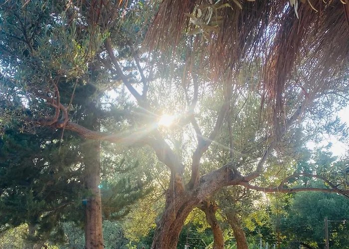 Apartamento White And Camping Drymades *