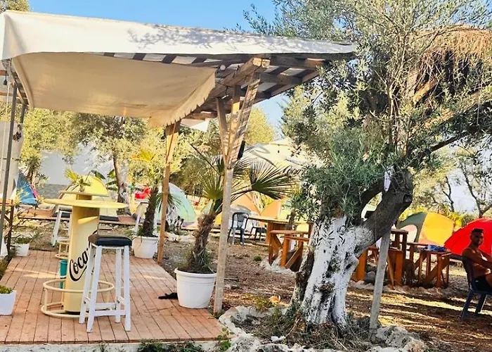 White And Camping Drymades *