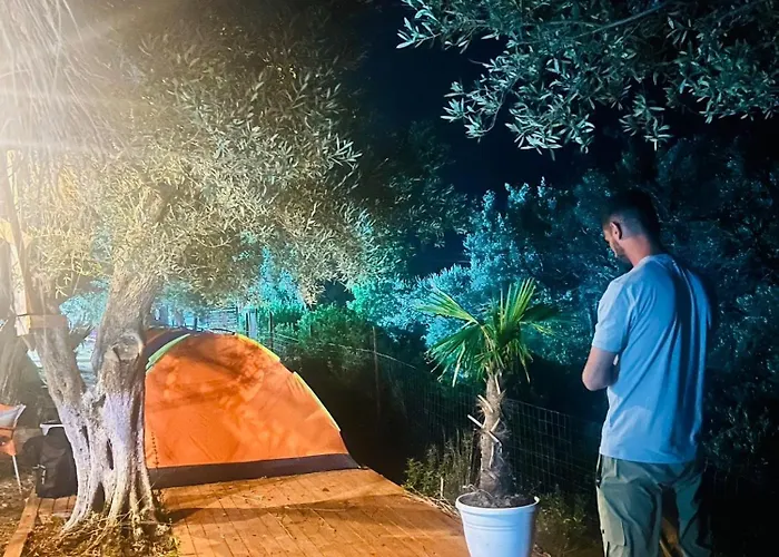 White And Camping Drymades * Dhërmi