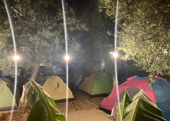 White And Camping Drymades * Dhërmi