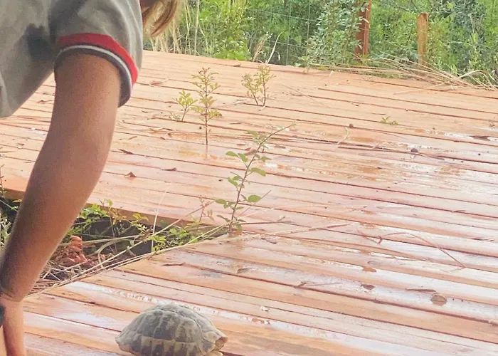 White And Camping Drymades