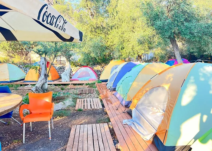 White And Camping Drymades *