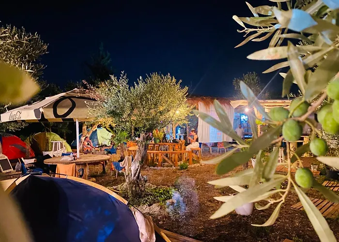 White And Camping Drymades