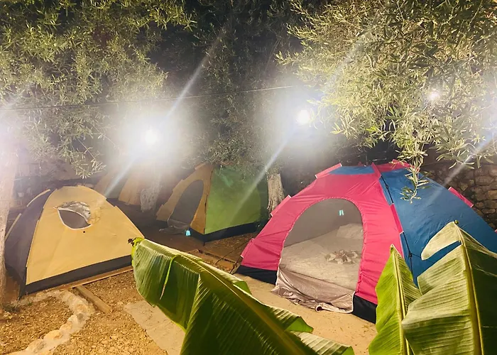 White And Camping Drymades